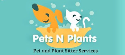 About Pets N Plants!