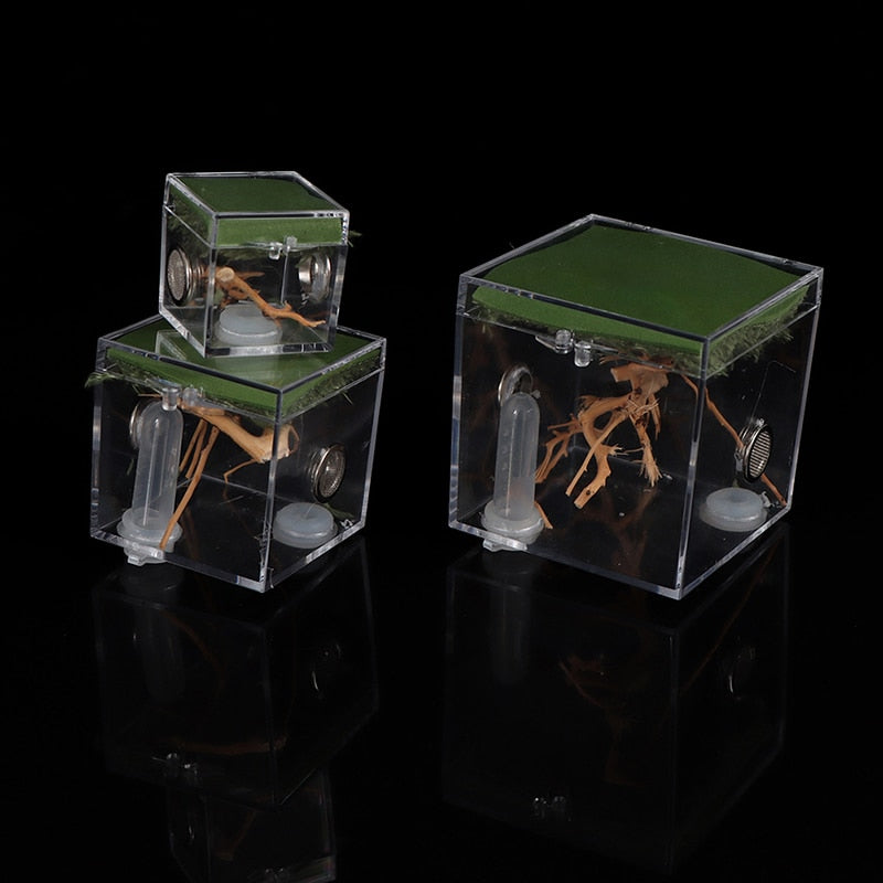 S/M/L Spider Reptile Terrarium Acrylic Reptile Breeding Box Terrarium  Accessories Insect Box For Spider