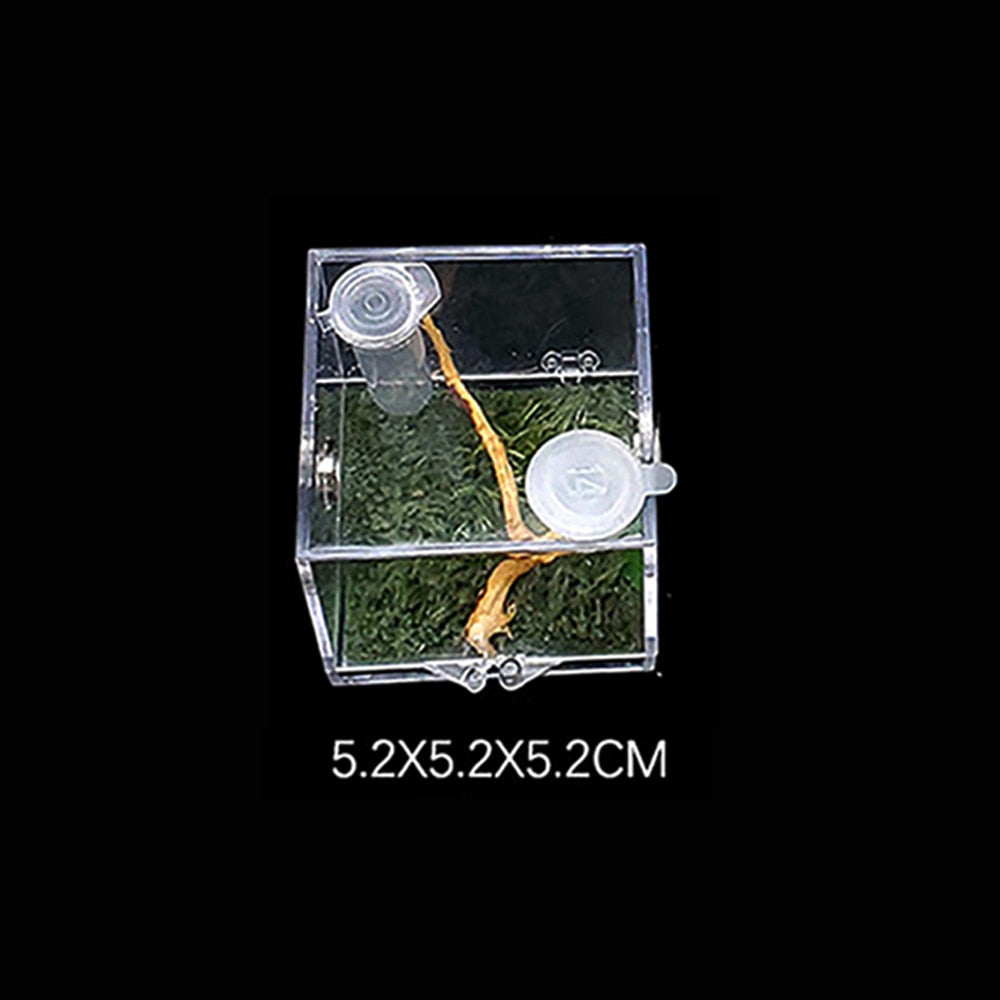 S/M/L Spider Reptile Terrarium Acrylic Reptile Breeding Box Terrarium  Accessories Insect Box For Spider