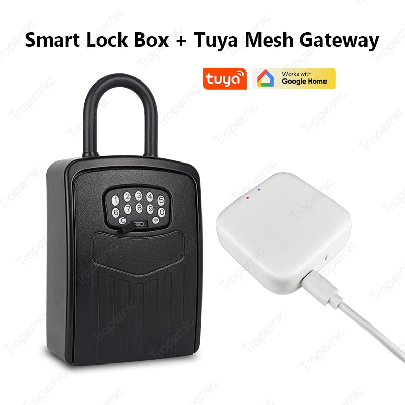 Tuya App Wireless Smart Lockbox House Key Outdoor Wall Mounted Door Hanging App Control Digital Key Safe Remote Access